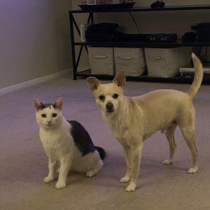 Meet your Posher, Leann